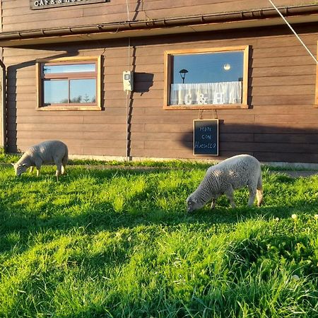 Cafe & Hostal Acurruka Curacautín Eksteriør bilde